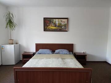 Фото номера Большой двухместный номер с 1 кроватью Мини-отель Apartments like hotel г. Черновцы 10