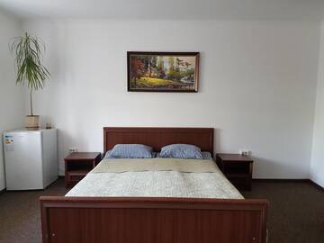 Фото номера Большой двухместный номер с 1 кроватью Мини-отель Apartments like hotel г. Черновцы 4