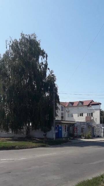 Фото номера Апартаменты с 1 спальней Апартаменты Квартира г. Черновцы 15