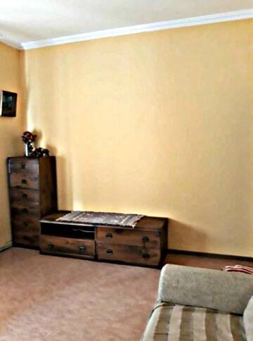Фото номера Апартаменты с 2 спальнями Апартаменты Apartment in the historical city center г. Черновцы 24
