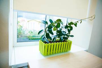 Фото номера Классический четырехместный номер Хостелы Coin Apartments &amp; Hostel г. Черновцы 2