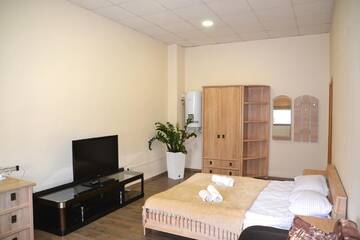 Фото номера Люкс с собственной ванной комнатой Хостелы Coin Apartments &amp; Hostel г. Черновцы 9